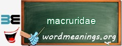 WordMeaning blackboard for macruridae